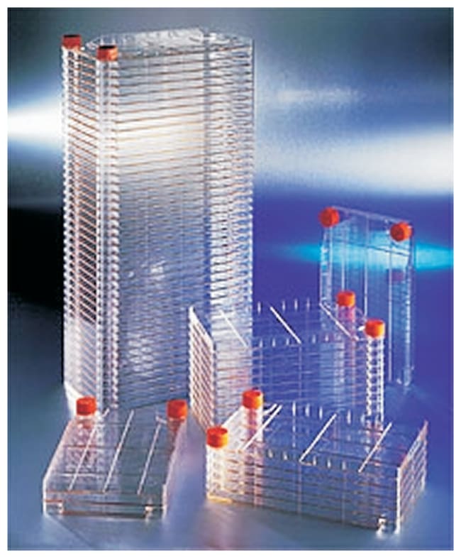 Corning CELLSTACK Kulturkammern, Menge: