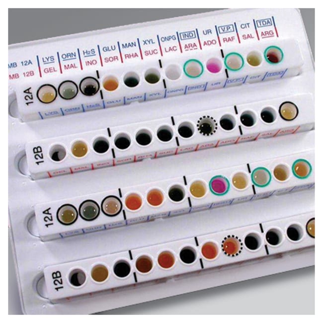 Thermo Scientific Oxoid Microbact Oxidas