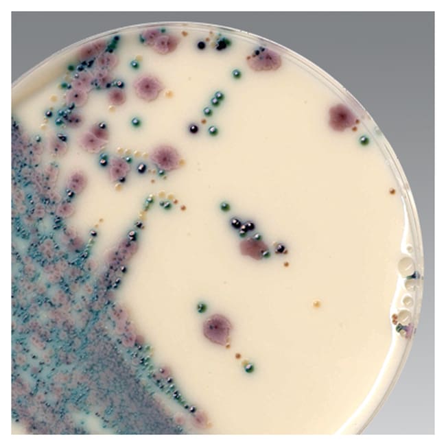 Brilliance Candida Selektiv-Erga¨nzungss