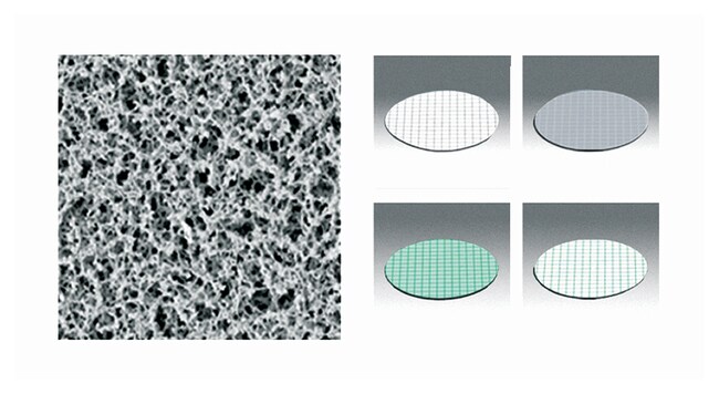 Sartorius Gridded Nonsterile Cellulose N