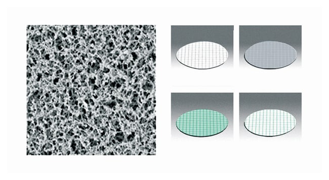 Sartorius Gridded Nonsterile Cellulose N
