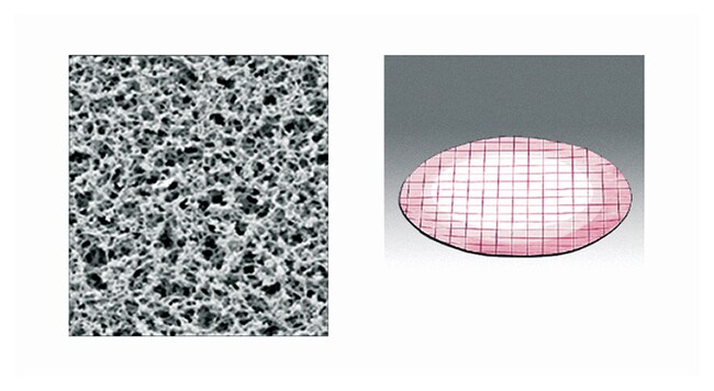 Sartorius Sterile Membranfilter aus Cell