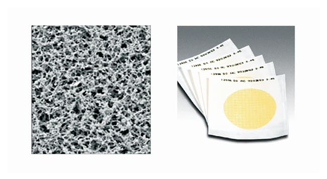 X1000 MB NC STER grIDDED 47mm 0,2µm    .