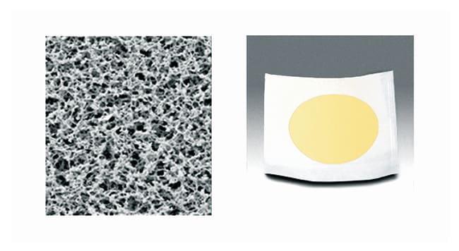 Sartorius Nongridded Sterile Cellulose M