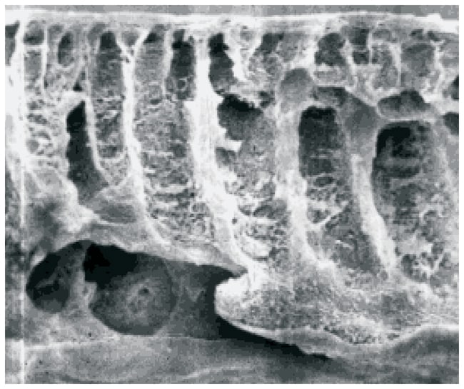 Sartorius Membranscheiben fu¨r Ultrafilt