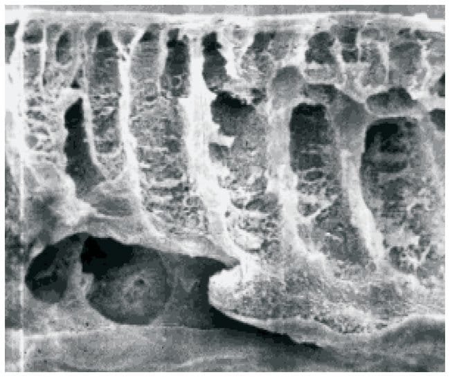 Sartorius Membranscheiben fu¨r Ultrafilt