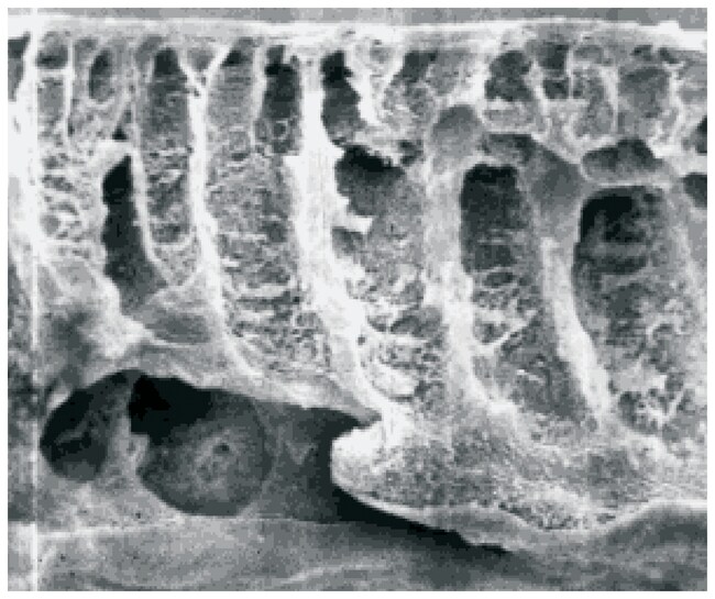Sartorius Membranscheiben fu¨r Ultrafilt