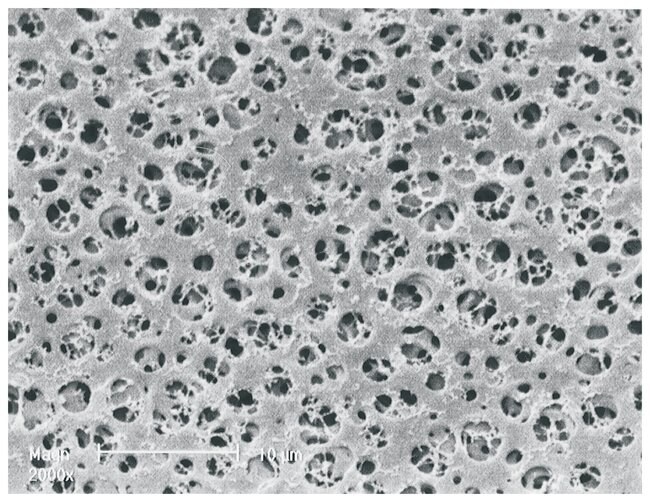 Sartorius Cellulose Acetate Membrane Fil