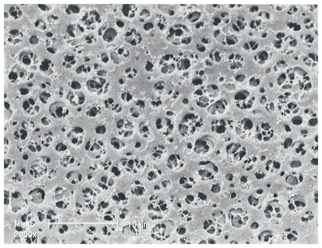 Sartorius Cellulose Acetate Membrane Fil