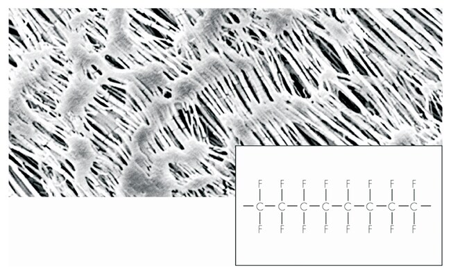 Sartorius Membranfilter aus PTFE (Polyte