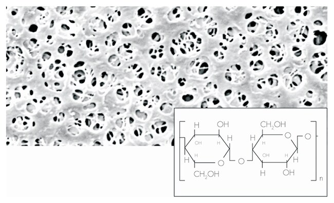 Sartorius Membranfilter aus regenerierte