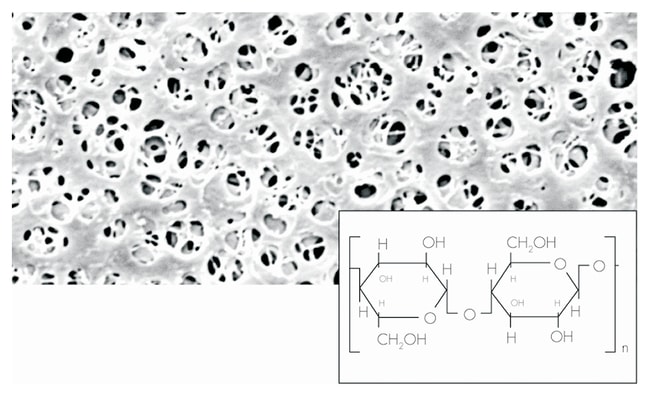 Sartorius Membranfilter aus regenerierte