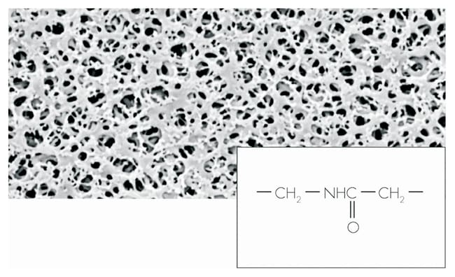 Sartorius Membranfilter aus Polyamid (Ny