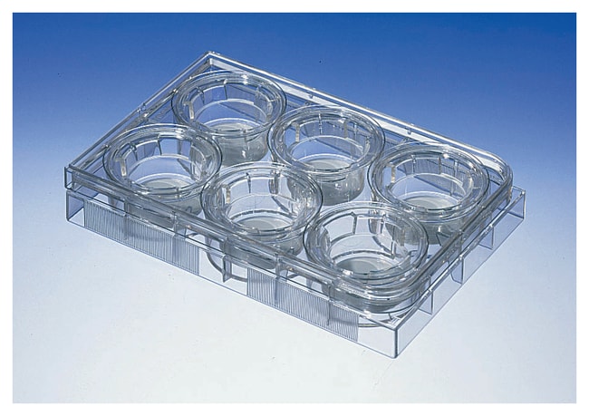 Corning Costar Transwell permeable Suppo