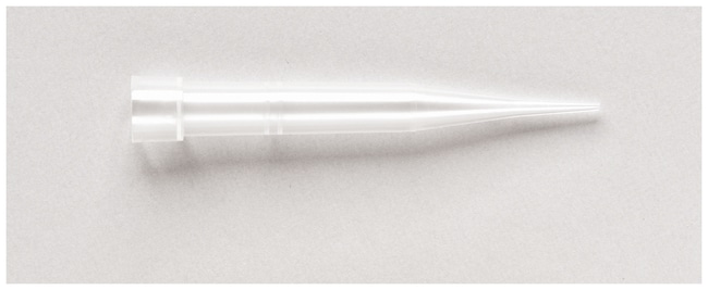 Thermo Scientific Molecular BioProducts