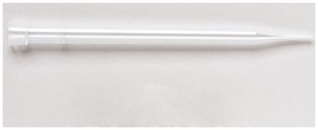 Thermo Scientific Molecular BioProducts