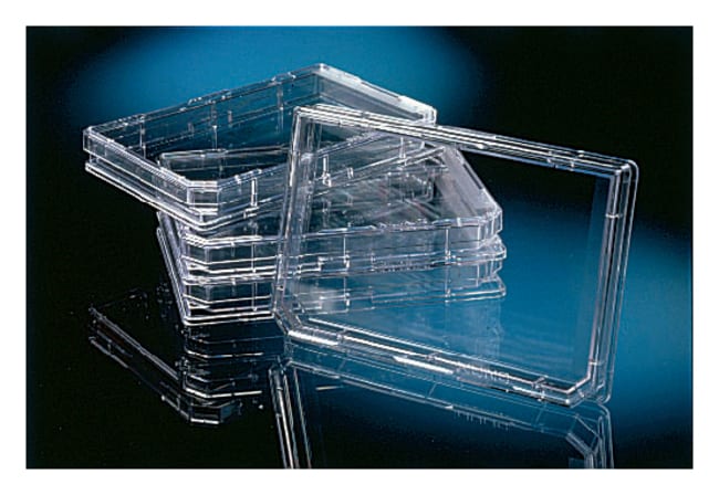 Thermo Scientific Nunc OmniTray, Zellkul