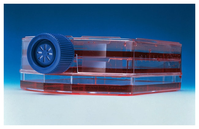 Thermo Scientific Nunc behandelte Zellku