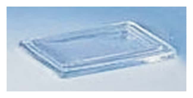 DWK Life Sciences Wheaton Fa¨rbeschalen