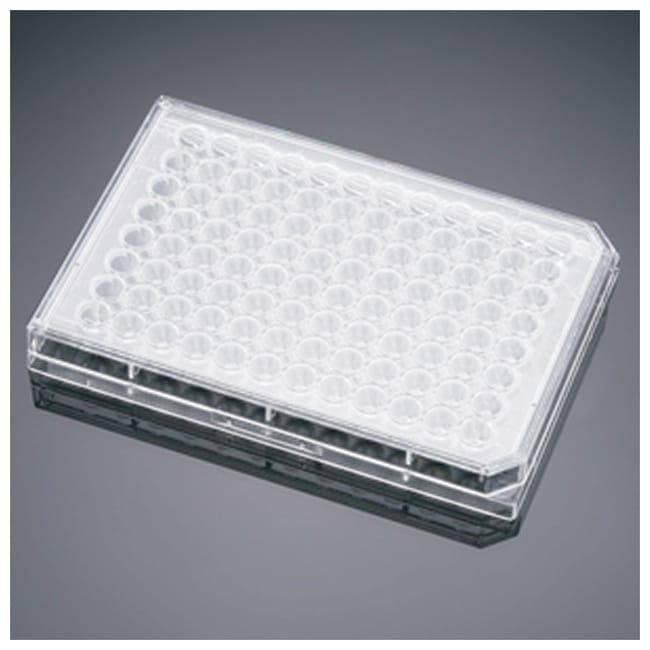 Falcon Polystyrene Microplates, Boden: U