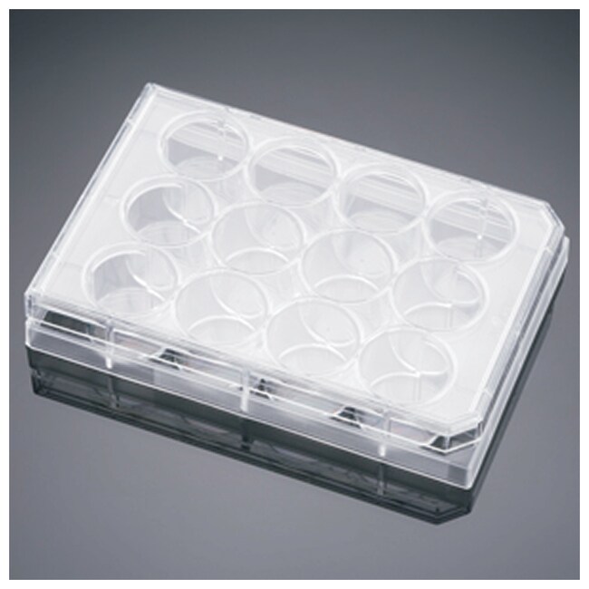Falcon Companion Plates for Cell Culture