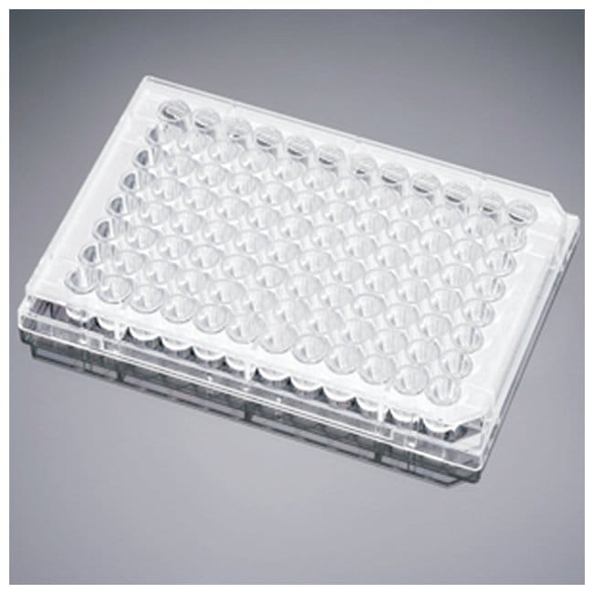 Falcon Platten fur Gewebekulturen, Boden