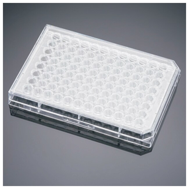 Falcon Polystyrene Microplates, Boden: U