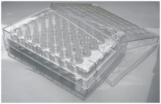 Falcon Polystyrene Microplates, Kapazita