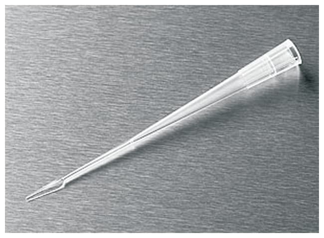 Corning Pipettenspitzen zur Gelbeladung,