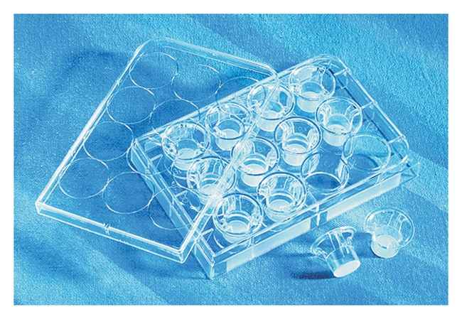 Corning Costar Transwell permeable Suppo