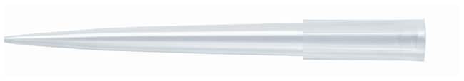 Fisherbrand SureOne Micropoint Pipette T