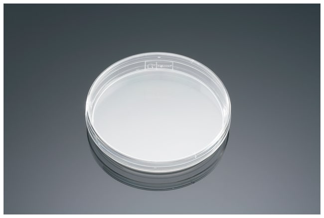 Corning Falcon bakteriologische Petrisch