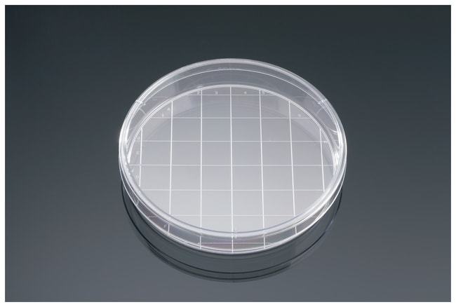 Corning Falcon Gewebekulturschale mit Ra