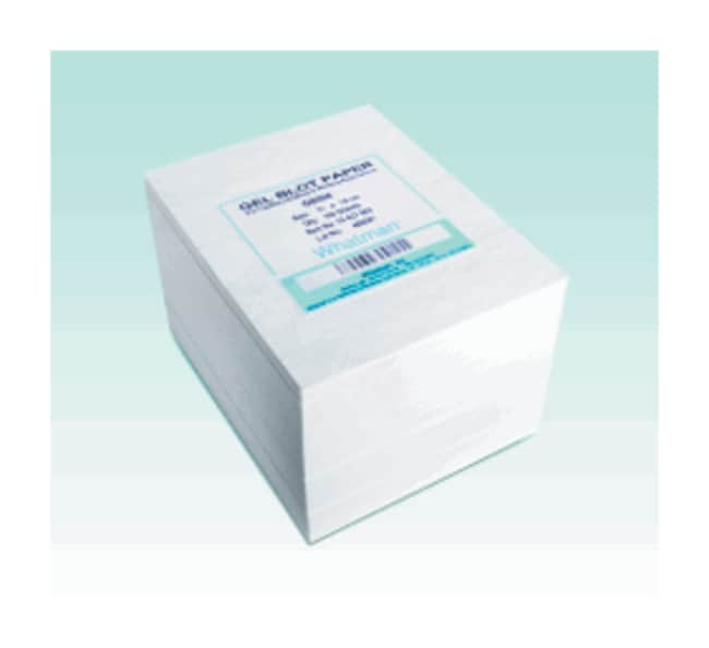 GE Healthcare Blotting-Papier, Grad GB00