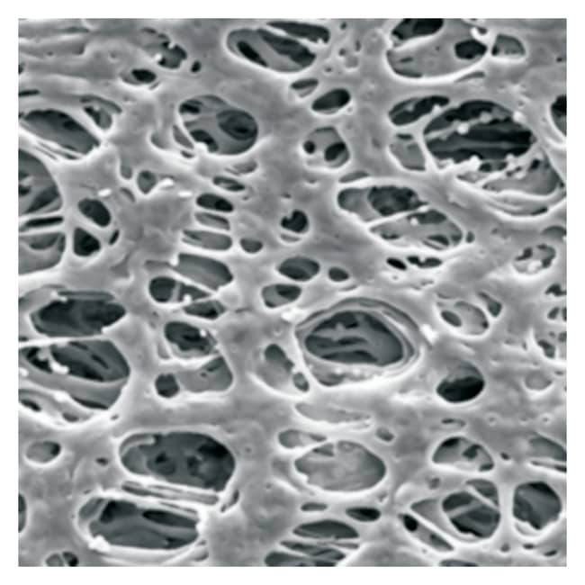 MilliporeSigma Express PLUS Membrane Fil