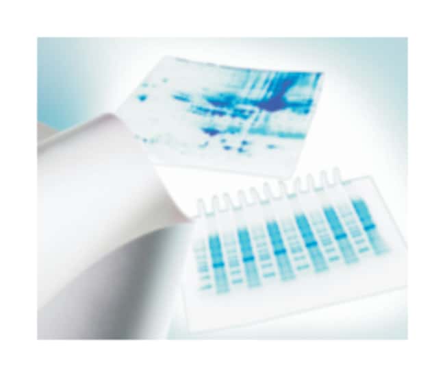 MilliporeSigma Immobilon PVDF-Transferme