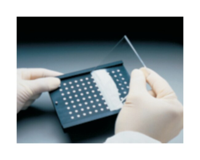MilliporeSigma MultiScreen Saulenlader