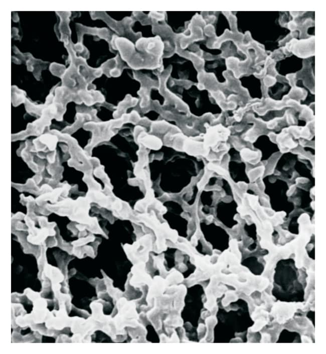 MilliporeSigma MF-Millipore Cellulosemis