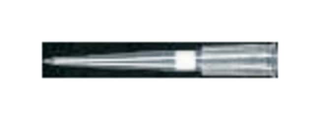 Axygen Filterspitzen mit Aerosolbarriere