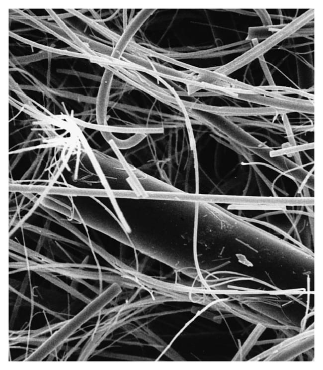 MilliporeSigma Glasfaserfilter, Auendurc