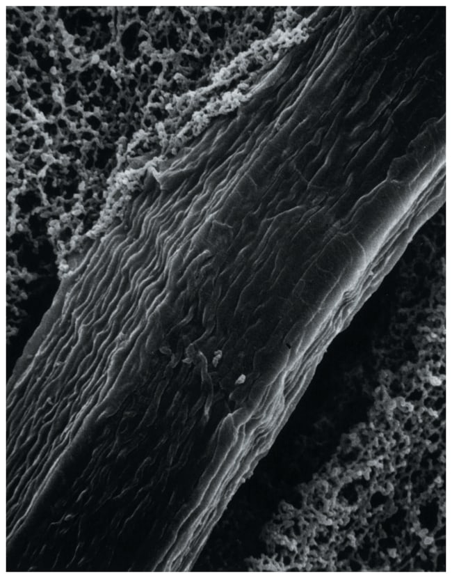 MilliporeSigma Verstarkte Membranfilter,