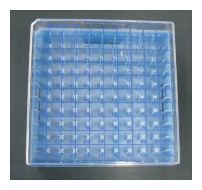 1x 2' Polycarbonate box with 100 cell di
