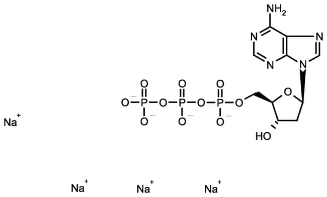 400UL 2'-Deoxyadenosine 5'-triphosphate