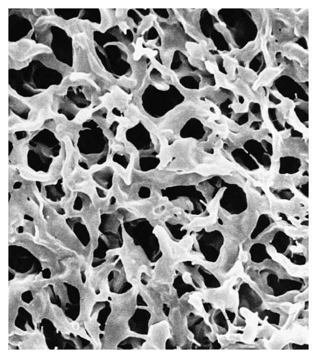 MilliporeSigma Durapore PVDF Membrane Fi