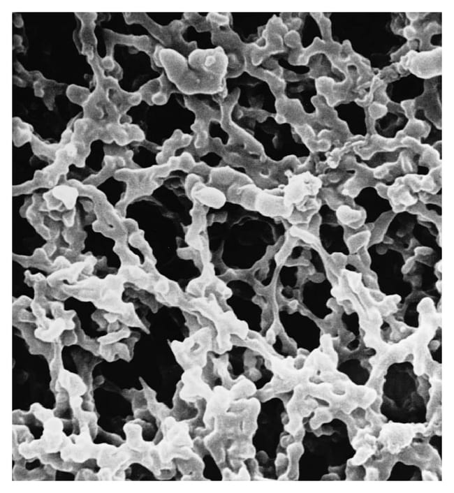 MilliporeSigma MF-EMD Millipore Cellulos