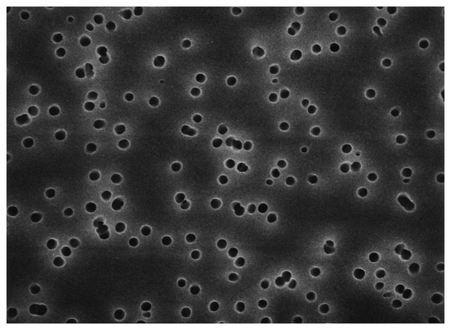 MilliporeSigma Isopore Polycarbonate Mem