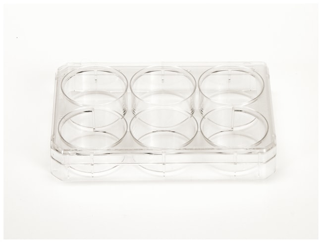 Thermo Scientific Nunc Cell-Culture Trea