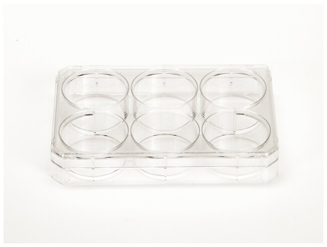 Thermo Scientific Nunc behandelte Zellku