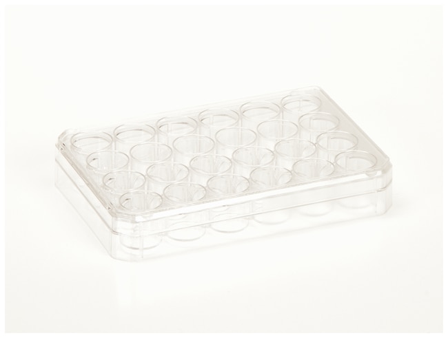 Thermo Scientific Nunc behandelte Zellku