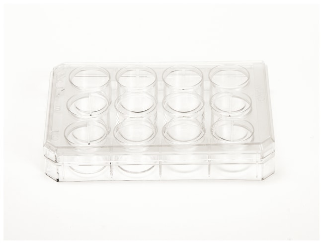 Thermo Scientific Nunc behandelte Zellku